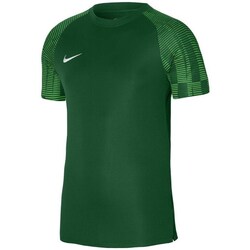 Textil Chlapecké Trička s krátkým rukávem Nike Academy Zelená