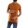 Textil Muži Trička s krátkým rukávem Timberland TB0A2BPRP471 Oranžová
