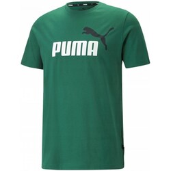 Textil Muži Trička s krátkým rukávem Puma Ess 2 Col Logo Tee Zelená
