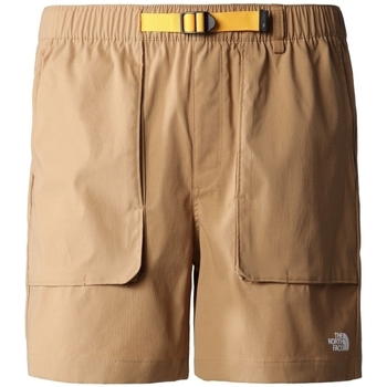 Textil Muži Kraťasy / Bermudy The North Face Class V Ripstop Shorts - Utility Brown Béžová