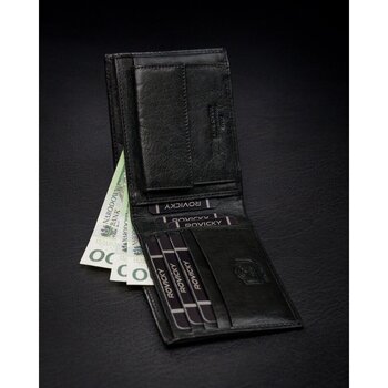 Pierre Cardin Pánská peněženka Kyumode černá Černá