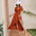 Textil Ženy Krátké šaty Wayfarer Dámské šaty Manne oranžová Oranžová