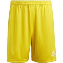Textil Muži Tříčtvrteční kalhoty adidas Originals Entrada 22 Žlutá