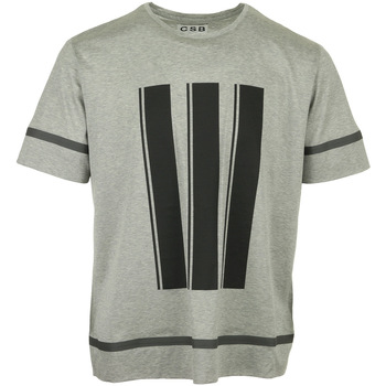 Textil Muži Trička s krátkým rukávem Csb London Stripe Printed T-Shirt Šedá