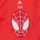 Textil Chlapecké Trička s krátkým rukávem Adidas Sportswear LB DY SM T Červená / Bílá