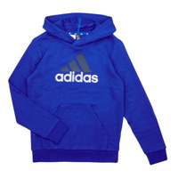 Textil Chlapecké Mikiny Adidas Sportswear BL 2 HOODIE Modrá / Bílá