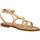 Boty Ženy Sandály Caryatis 622109C Hnědá