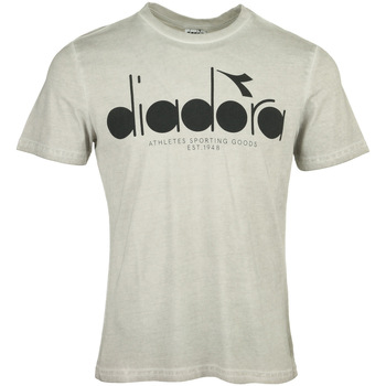 Textil Muži Trička s krátkým rukávem Diadora T-shirt 5Palle Used Šedá
