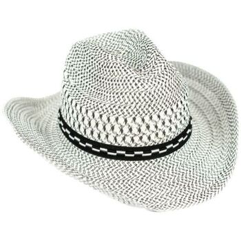 Textilní doplňky Ženy Klobouky Art Of Polo Dámský klobouk Lomen světle šedá Šedá