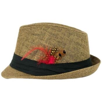 Textilní doplňky Ženy Klobouky Art Of Polo Dámský klobouk Rulak hnědá Hnědá