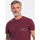Textil Muži Trička s krátkým rukávem Ombre Pánské tričko s potiskem Siktik kaštanová Hnědá