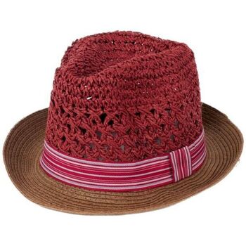Textilní doplňky Ženy Klobouky Art Of Polo Dámský klobouk Elizard hnědo-červená Fialová