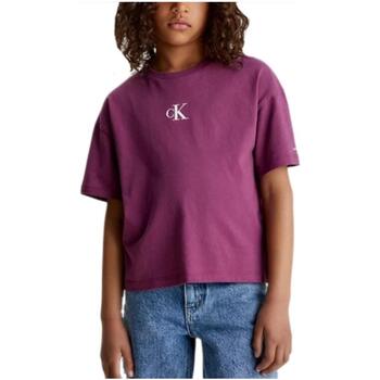 Textil Dívčí Trička s krátkým rukávem Calvin Klein Jeans  Fialová
