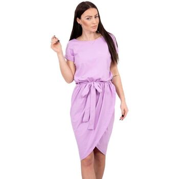 Textil Ženy Krátké šaty Kesi Dámské mini šaty Regular fialová Fialová