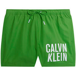 Textil Muži Kraťasy / Bermudy Calvin Klein Jeans km0km00794-lxk green Zelená