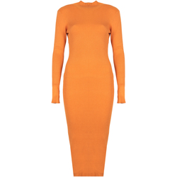 Textil Ženy Krátké šaty Silvian Heach PGA22208VE Oranžová