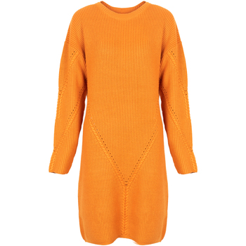 Textil Ženy Krátké šaty Silvian Heach PGA22285VE Oranžová