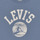 Textil Chlapecké Trička s krátkým rukávem Levi's SURFS UP TEE Modrá