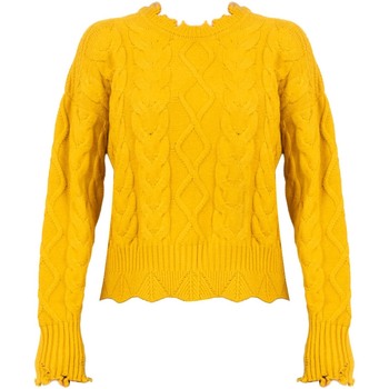 Textil Ženy Svetry Pinko 1G166W Y79B | Chianti Žlutá