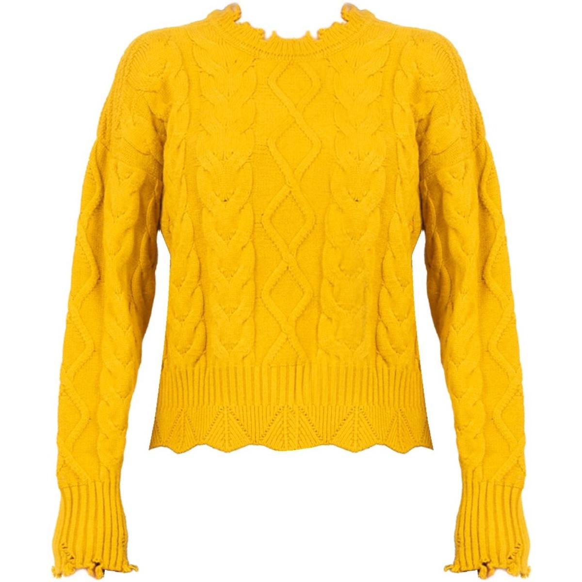 Textil Ženy Svetry Pinko 1G166W Y79B | Chianti Žlutá