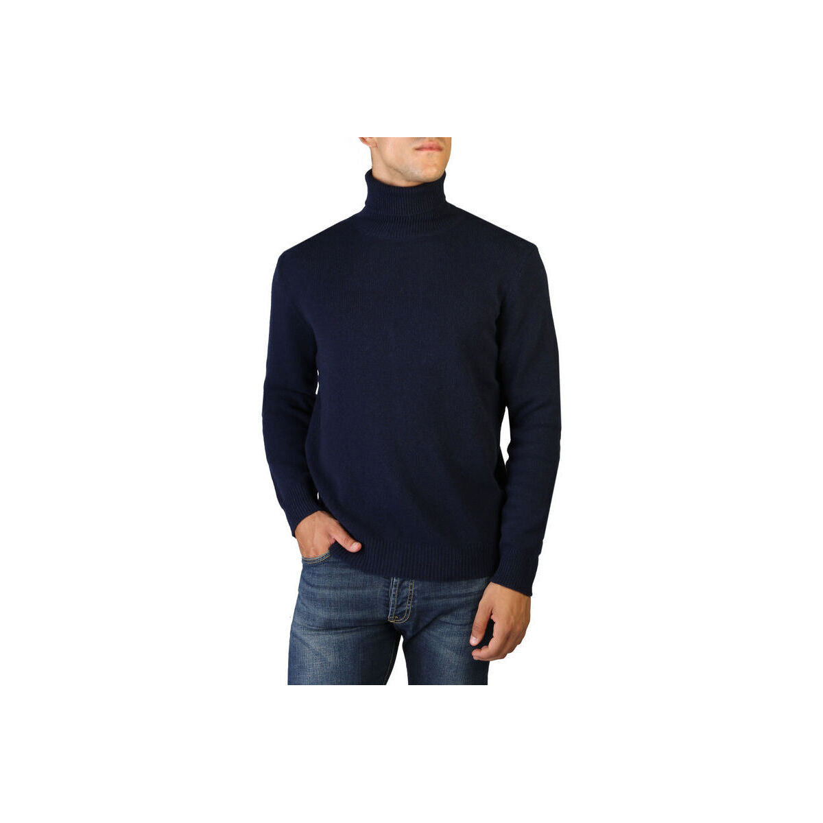 Textil Muži Svetry 100% Cashmere Jersey roll neck Modrá