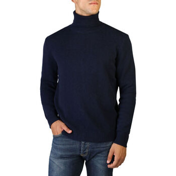 Textil Muži Svetry 100% Cashmere Jersey roll neck Modrá