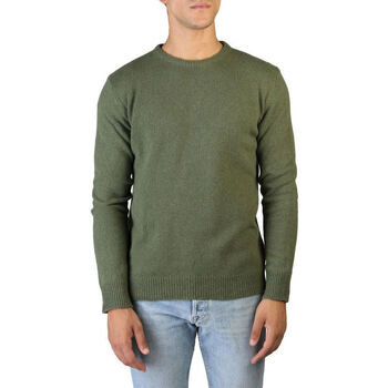 Textil Muži Svetry 100% Cashmere Jersey Zelená
