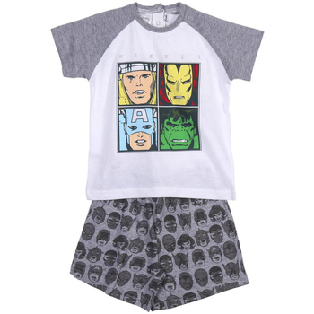 Textil Děti Pyžamo / Noční košile Avengers 2200008973 Šedá