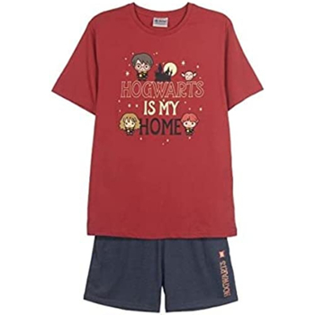 Textil Muži Pyžamo / Noční košile Harry Potter 2200009100 Červená