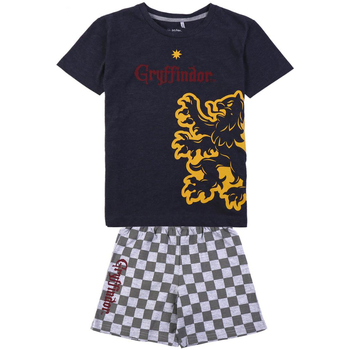 Textil Chlapecké Pyžamo / Noční košile Harry Potter 2200009252 Černá