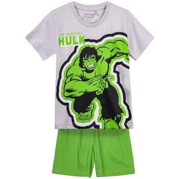 Textil Chlapecké Pyžamo / Noční košile Hulk 2900001331B Šedá
