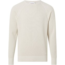 Textil Muži Trička s krátkým rukávem Calvin Klein Jeans K10K111477 Béžová
