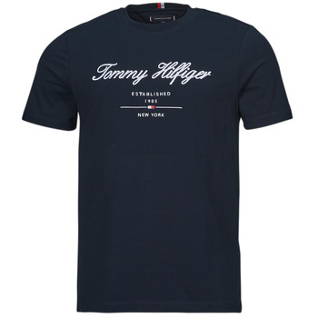 Textil Muži Trička s krátkým rukávem Tommy Hilfiger SCRIPT LOGO TEE Tmavě modrá