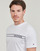 Textil Muži Trička s krátkým rukávem Tommy Hilfiger MONOTYPE STRIPE Bílá