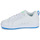 Boty Muži Nízké tenisky DC Shoes COURT GRAFFIK Bílá / Modrá
