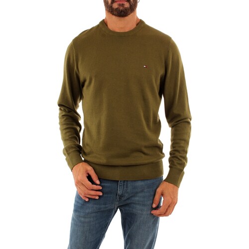 Textil Muži Trička s krátkým rukávem Tommy Hilfiger MW0MW28046 Zelená