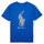 Textil Chlapecké Trička s krátkým rukávem Polo Ralph Lauren SS CN-KNIT SHIRTS-T-SHIRT Modrá