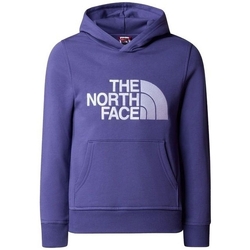Textil Chlapecké Teplákové soupravy The North Face BOY'S DREW PEAK P/O HOODI Modrá