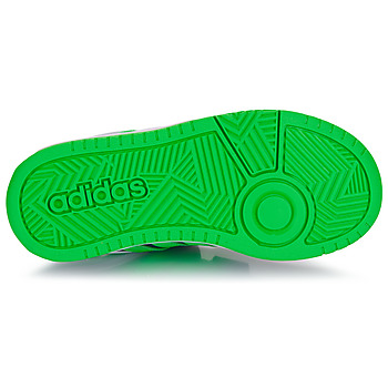 Adidas Sportswear HOOPS 3.0 CF C Modrá / Zelená