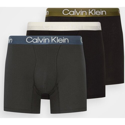Spodní prádlo Muži Boxerky Calvin Klein Jeans 000NB2971A           