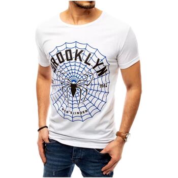 Textil Muži Trička s krátkým rukávem D Street Pánské tričko s potiskem Fiac bílá Bílá