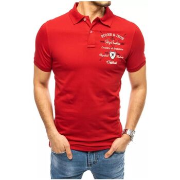 Textil Muži Trička & Pola D Street Pánské polo tričko s výšivkou Dayaram červená Červená