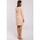 Textil Ženy Krátké šaty Stylove Dámské mini šaty Nifar S217 béžová Béžová