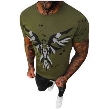 Textil Muži Trička s krátkým rukávem Ozonee Pánské tričko Bulb zelená Zelená