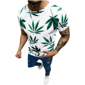 Textil Muži Trička s krátkým rukávem Ozonee Pánské tričko Nightshade bílá-zelená Bílá/Zelená
