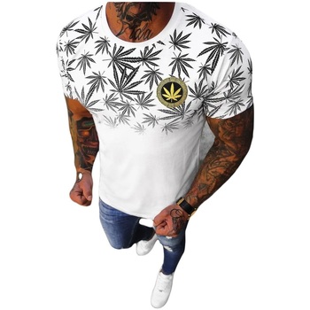 Textil Muži Trička s krátkým rukávem Ozonee Pánské tričko Willow bílá Bílá