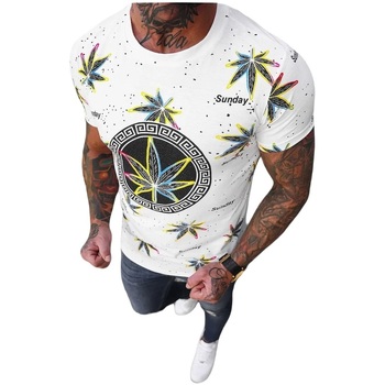 Textil Muži Trička s krátkým rukávem Ozonee Pánské tričko Salute bílá Bílá