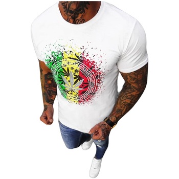 Textil Muži Trička s krátkým rukávem Ozonee Pánské tričko Fidelity bílá Bílá