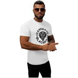 Textil Muži Trička s krátkým rukávem Ozonee Pánské tričko s potiskem Aluza bílá Bílá