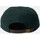 Textilní doplňky Muži Kšiltovky Brixton Parsons lp cap Zelená